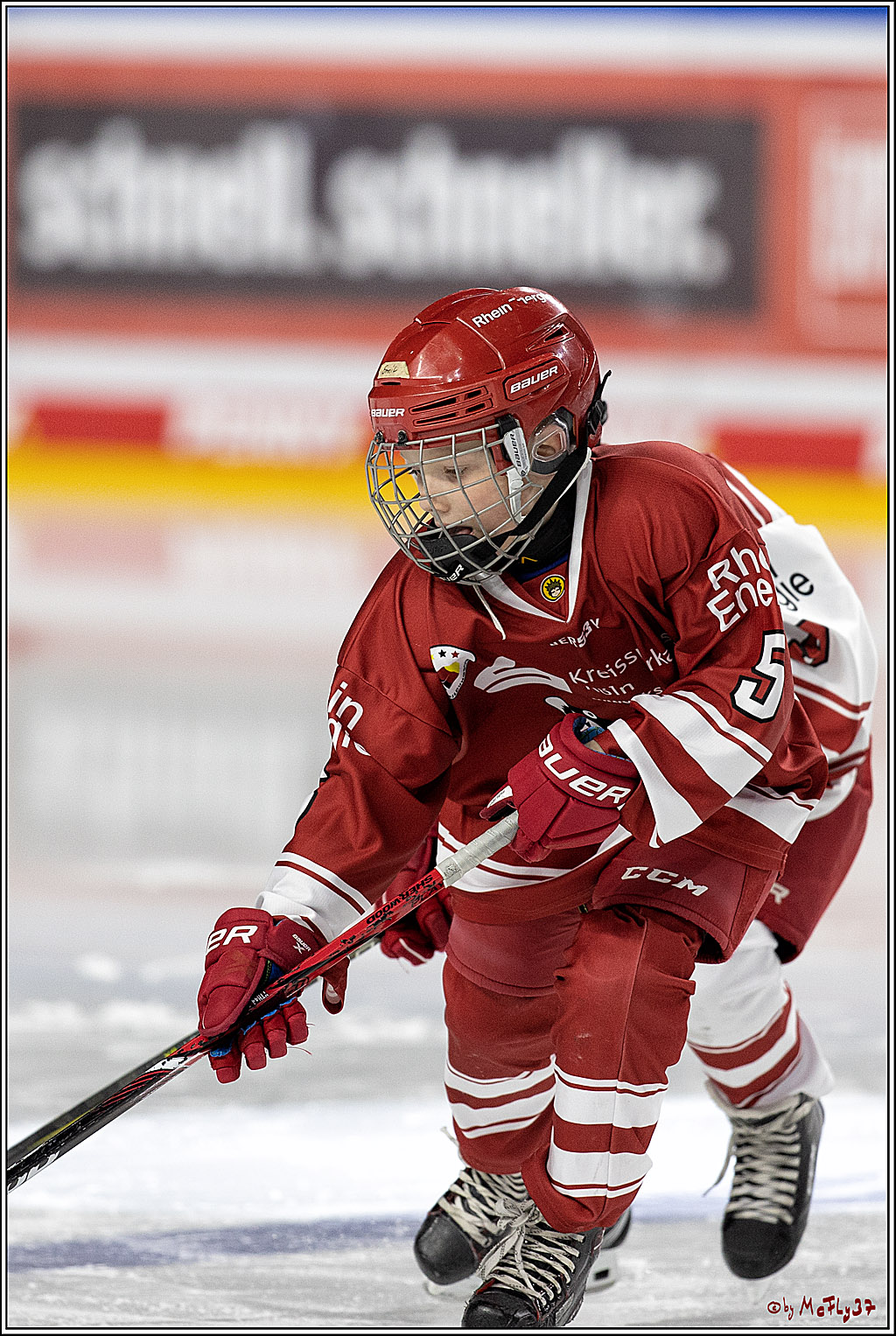 PENNY DEL;  Koelner Haie - Junghaie U9; Koeln, 18.03.2022